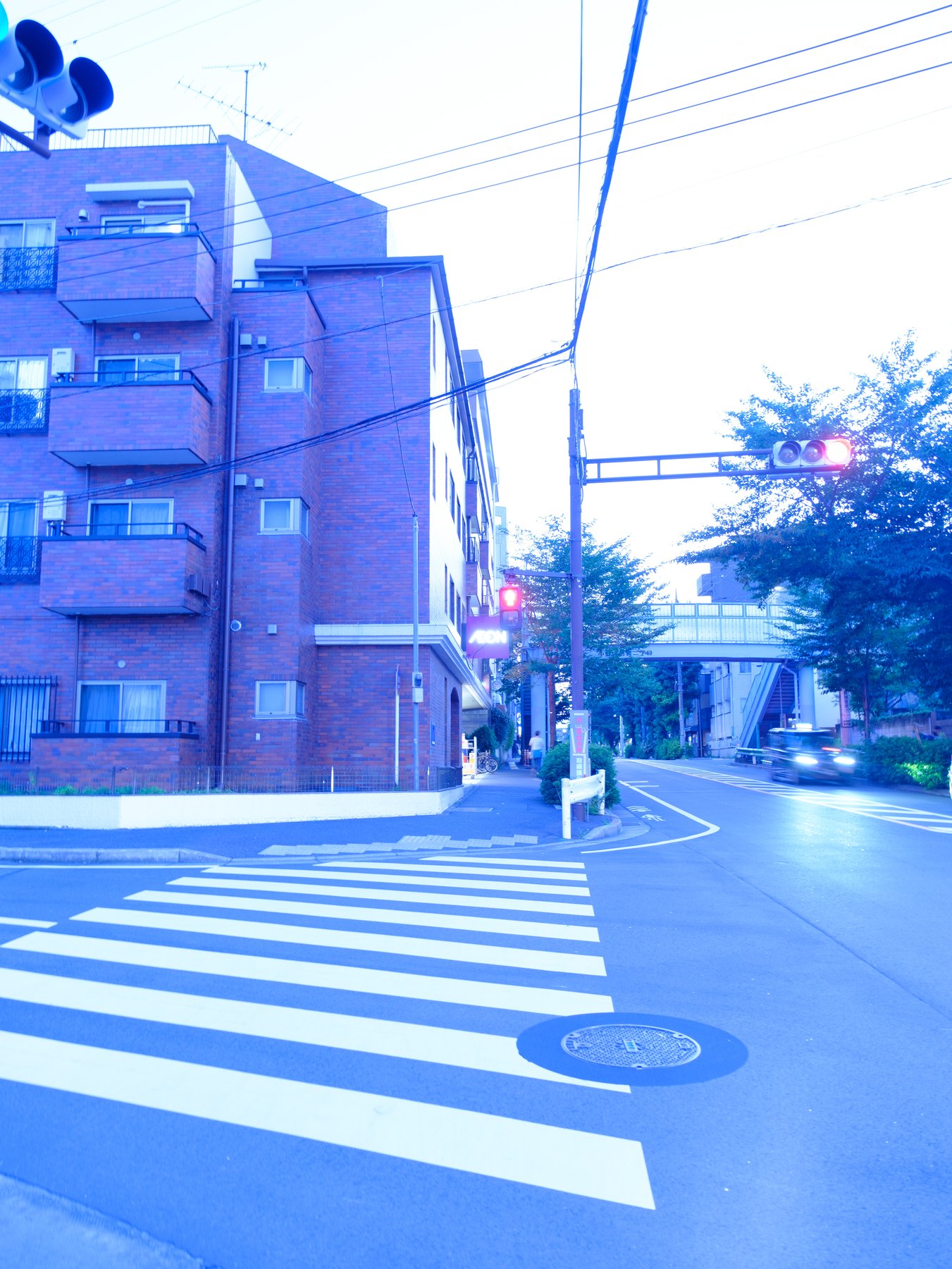 A blue-hour Tokyo corner with a restrained film-inspired Lightroom edit