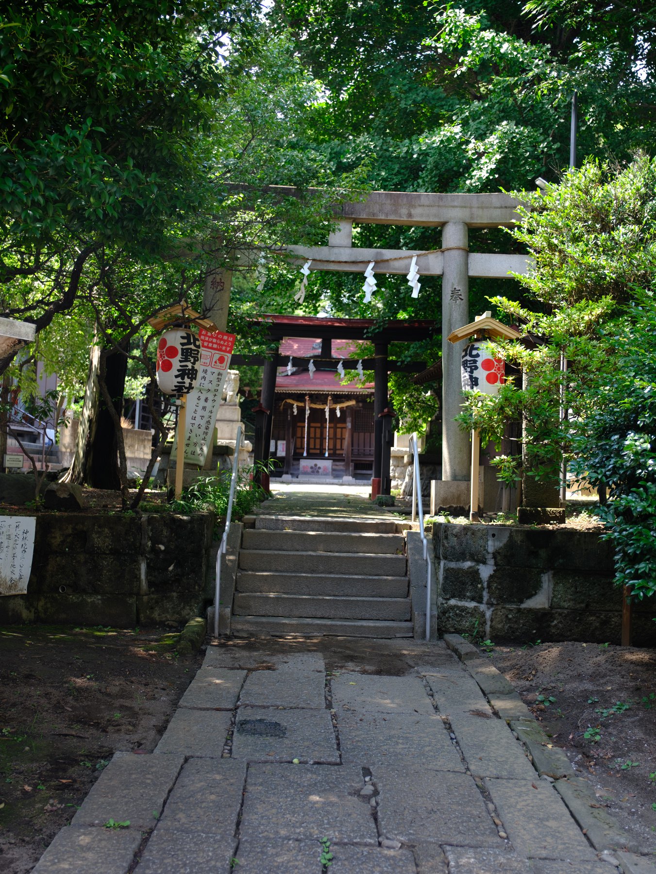 A quiet Tokyo shrine approach photographed for the three-look preset guide