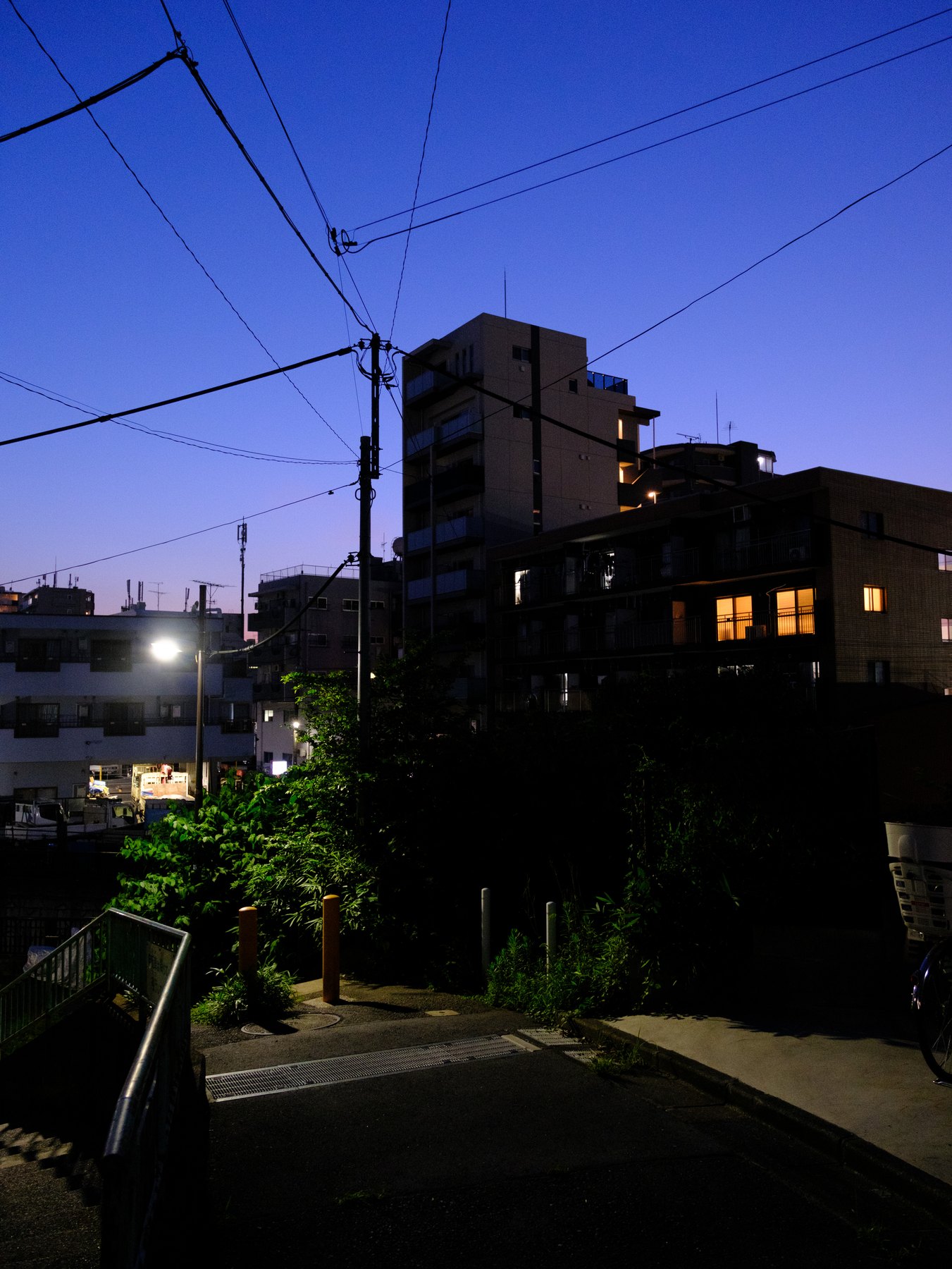 Warm windows and a cool twilight sky showing mixed light in Tokyo