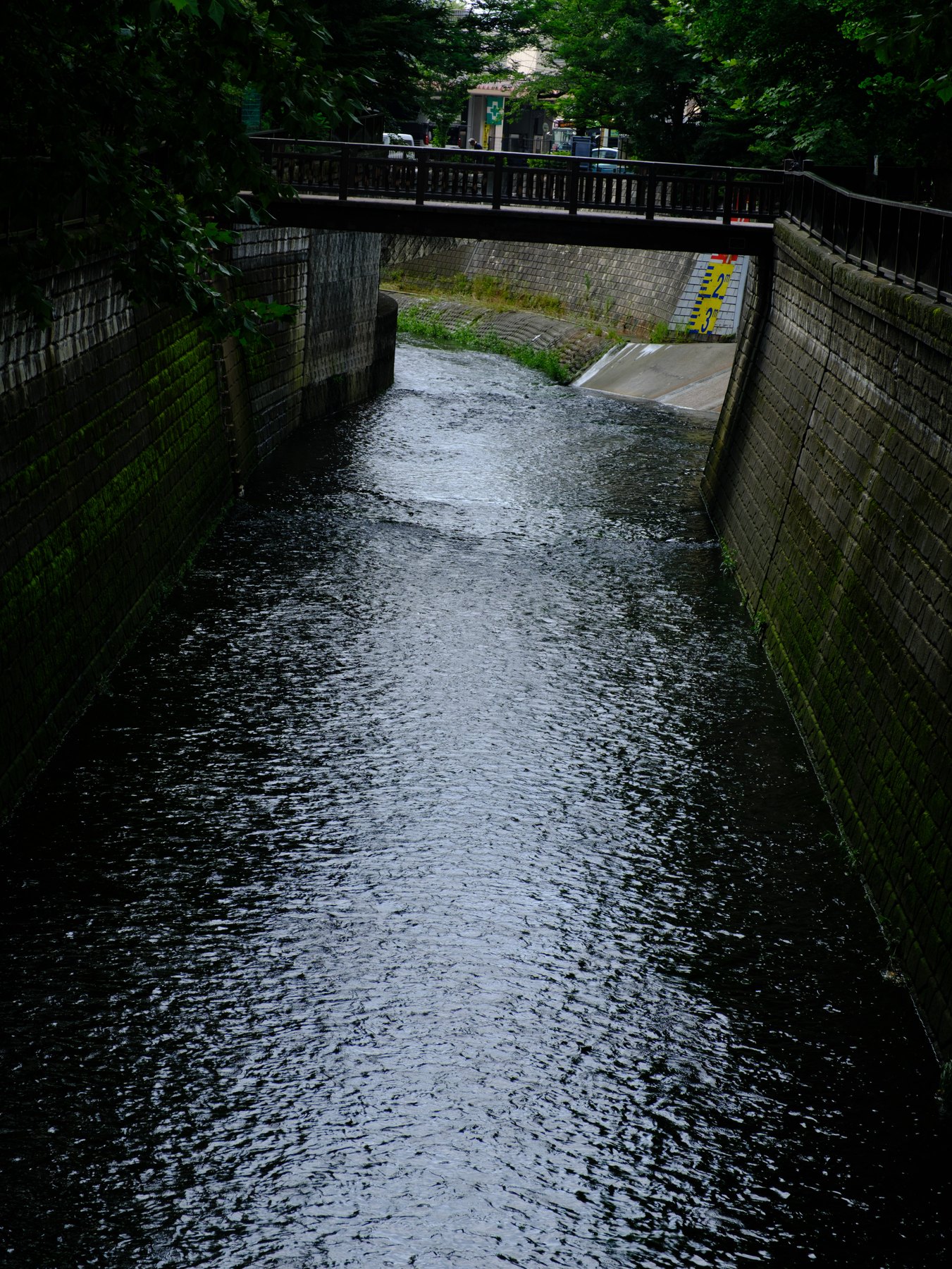 A rain-darkened Tokyo waterway photographed with subdued contrast