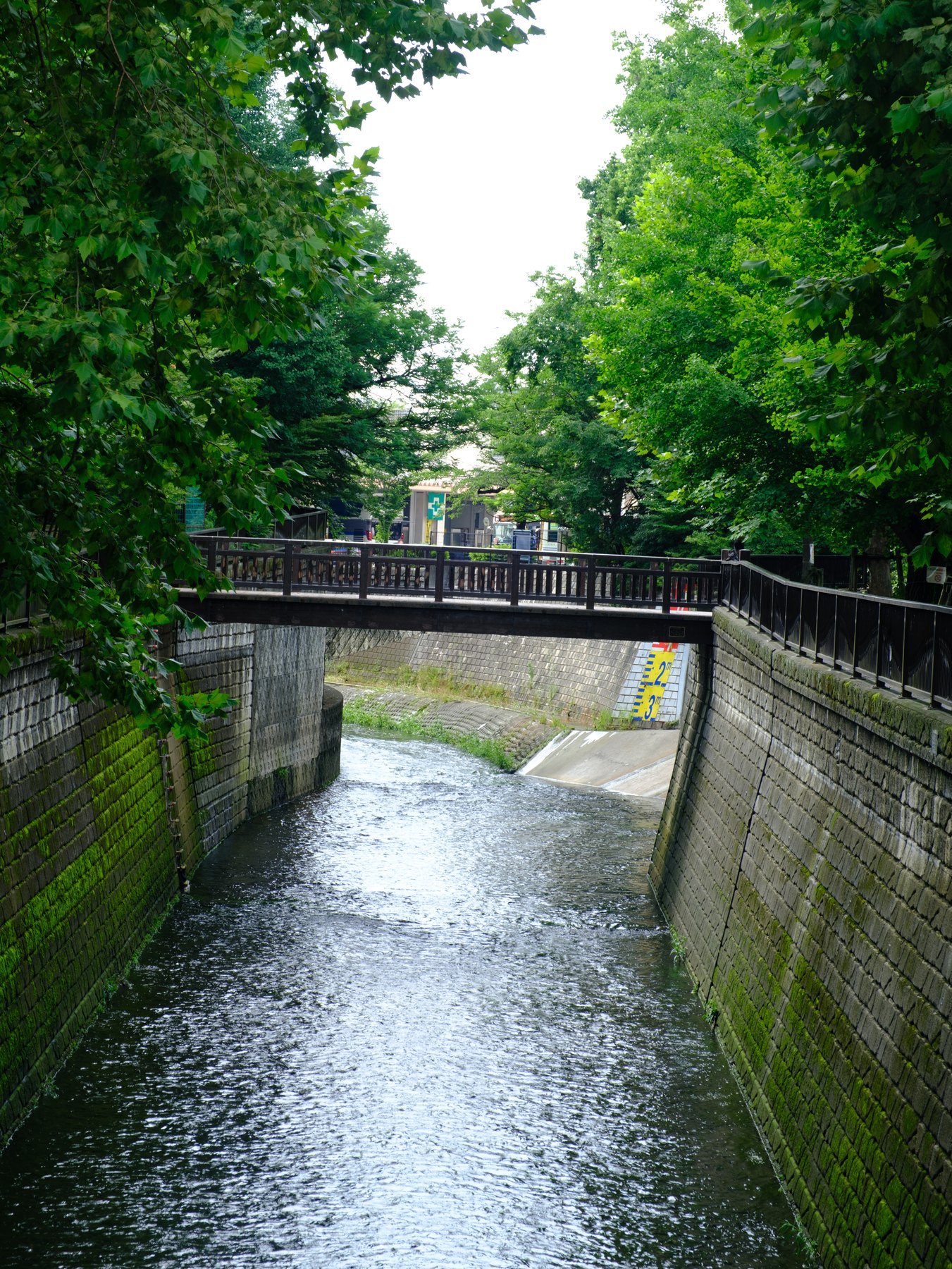 A quiet bridge and canal in Tokyo after rain