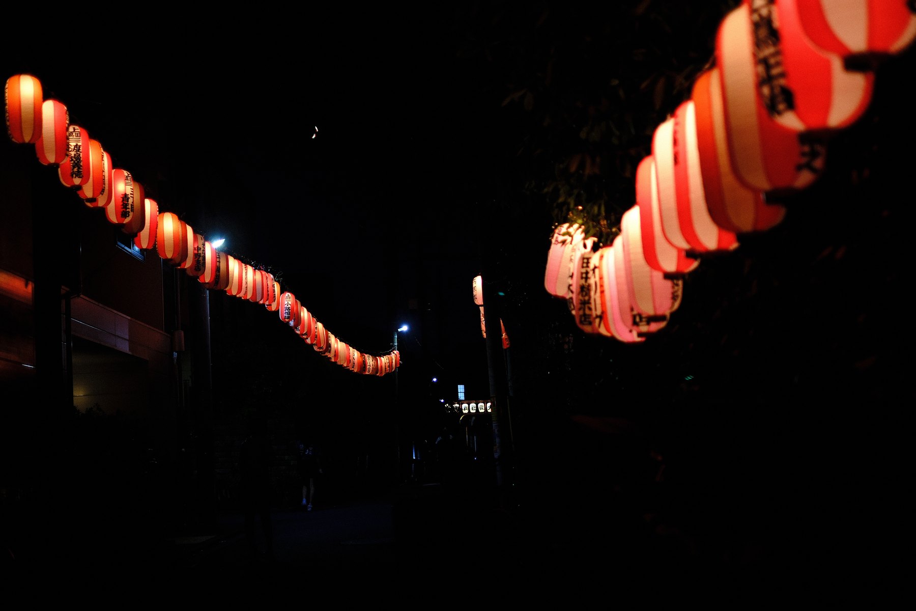 Rows of red and white Japanese lanterns receding into a dark night scene