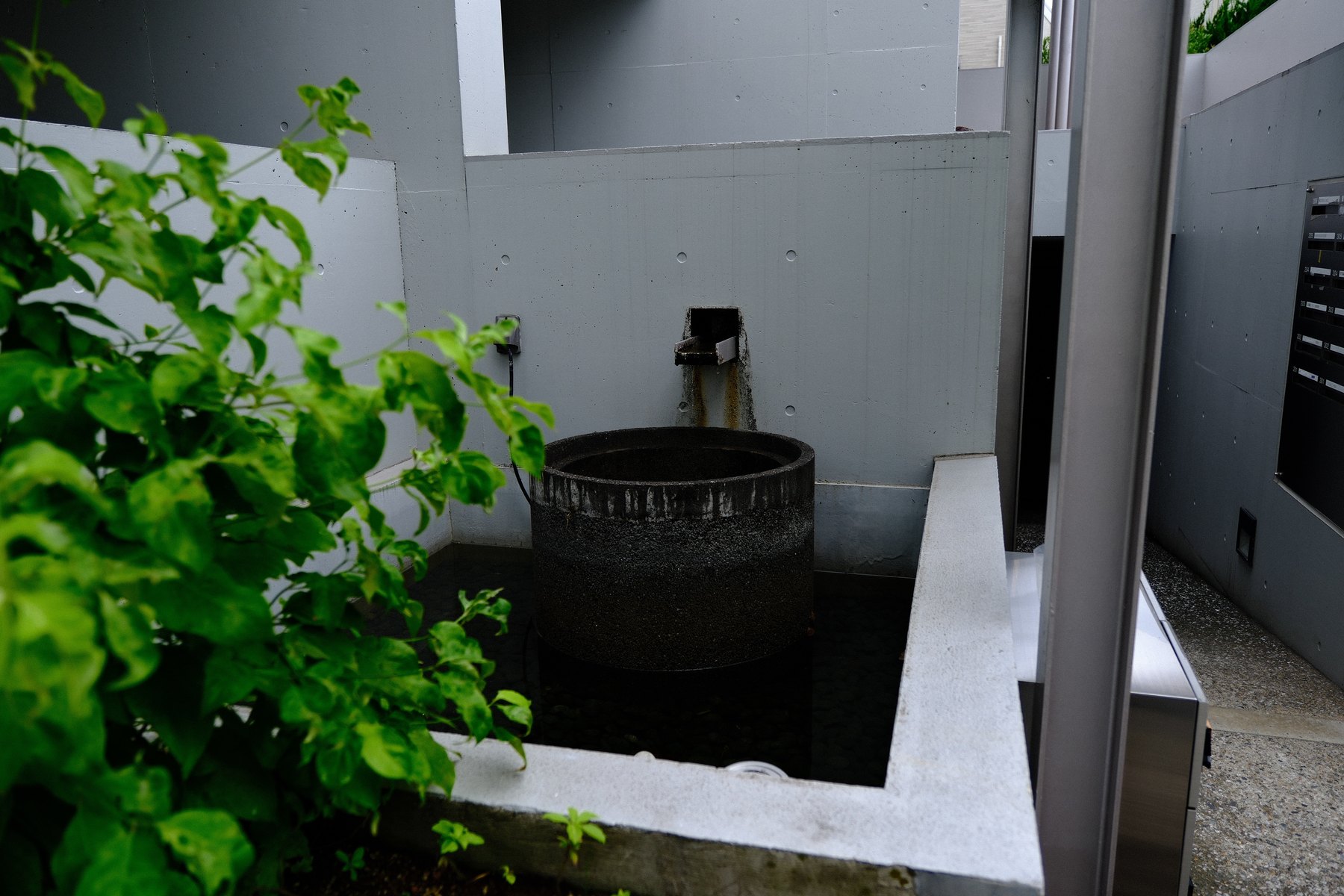 Tokyo architecture and planting composed around an interval of light and space