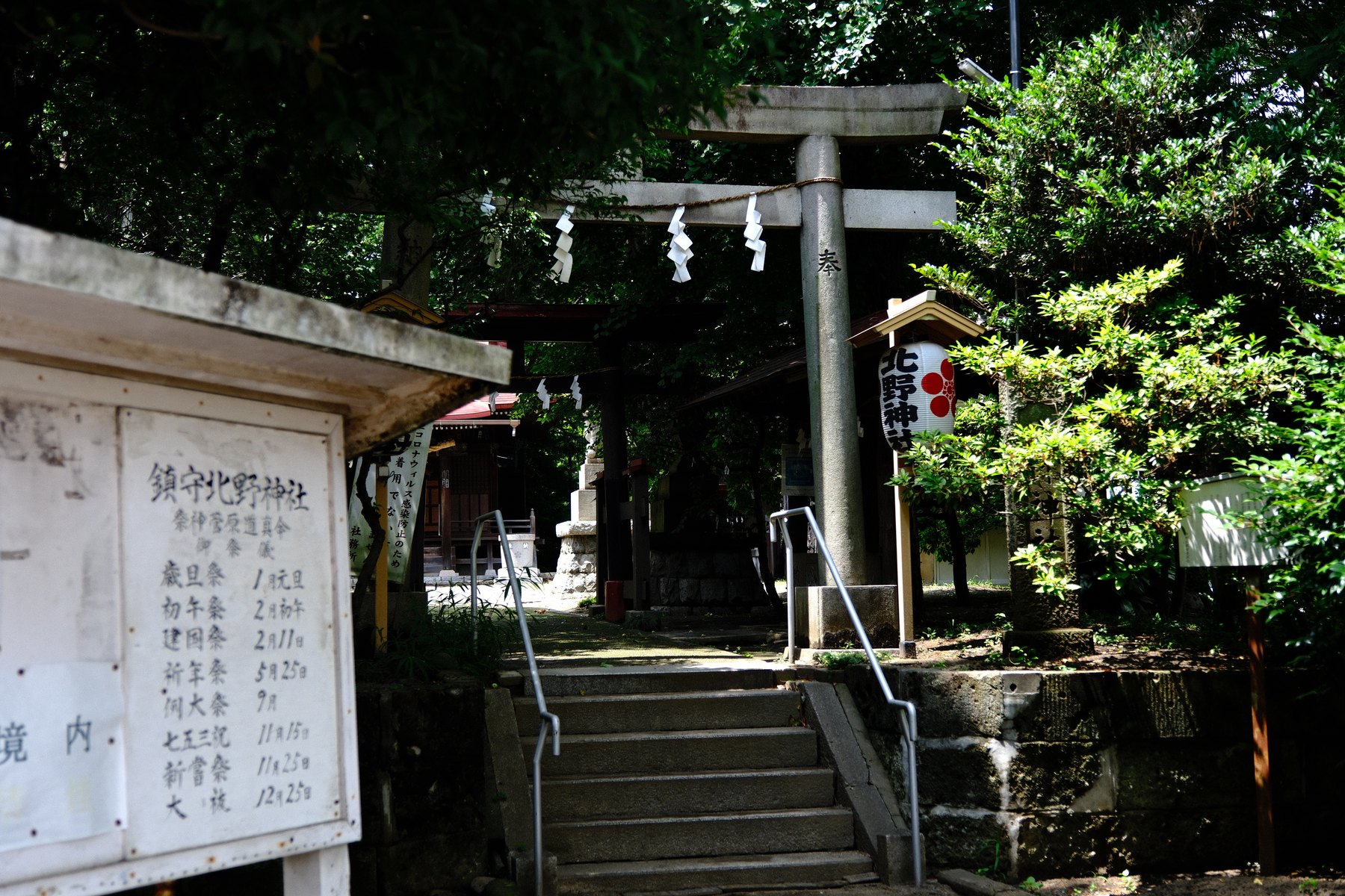 A small Japanese shrine entrance with stone torii, steps, greenery, sun, and deep shade